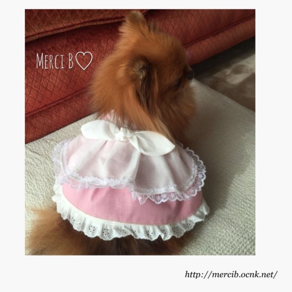 画像2: エプロンわんぴ Pinkロージー (2)