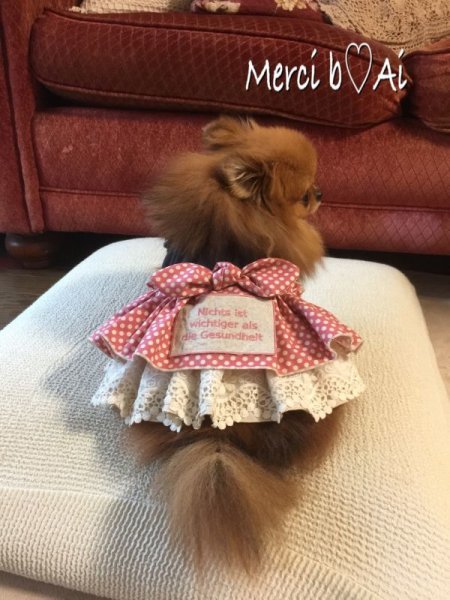 画像3: クールわんぴ アンティークミニー (3)