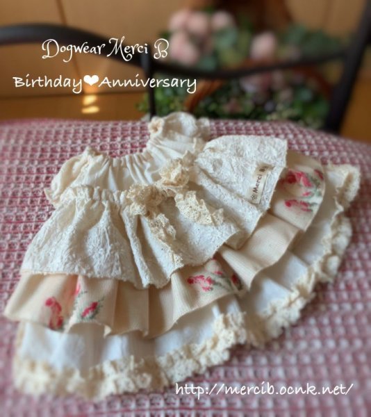 画像2: happy anniversary 01リトルフェアリー (2)