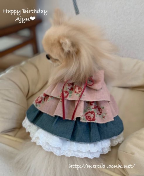 画像2: happy anniversary  02ミルフィーユ (2)