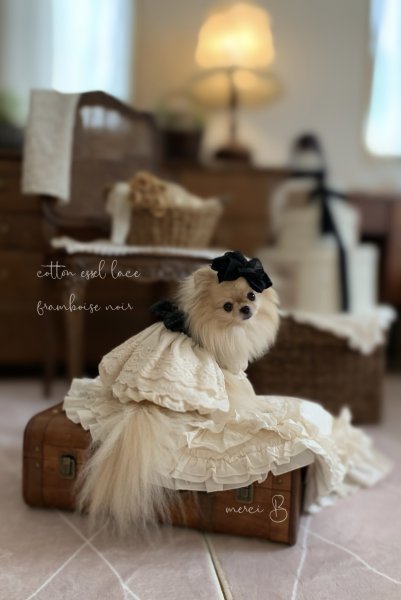 画像4: framboise ✾フランボワーズ (4)