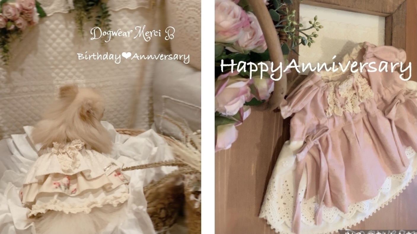 ぴーち様♡プリーツシフォン♡ワンピース♡ハンドメイド♡犬服♡オーダー♡ 犬服ハンドメイド Merci B